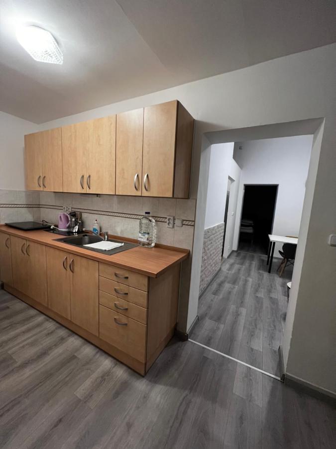 Mlynsky Ostrov Apartment 2 Zdice Extérieur photo